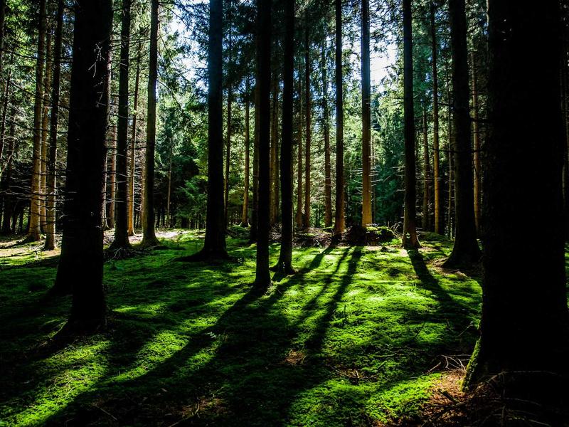 雪国列车<br>lyv4augd.cn 永恒轮回之旅